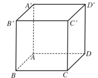 Cho hình lập phương ABCD.A'B'C'D' có độ dài cạnh là (ảnh 1)