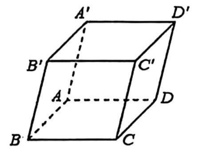 Cho hình hộp ABCD.A'B'C'D'. Mặt phẳng (AB'D') song song với mặt phẳng nào sau đây? (ảnh 1)