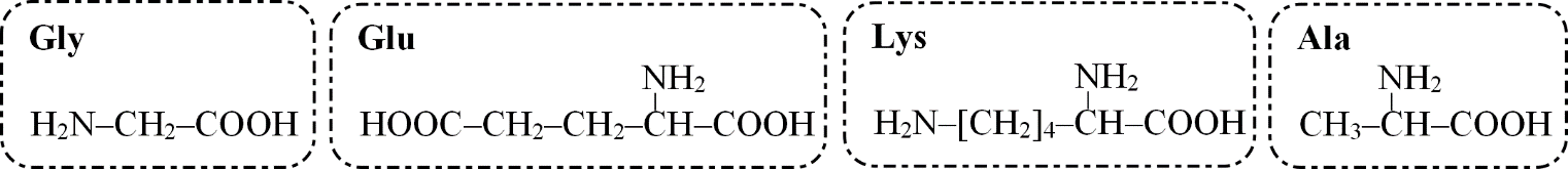 Cho công thức cấu tạo và kí hiệu của bốn amino acid sau:

Công thức cấu tạo của amino acid nào biểu diễn nhiều nhóm amino nhất? (ảnh 1)