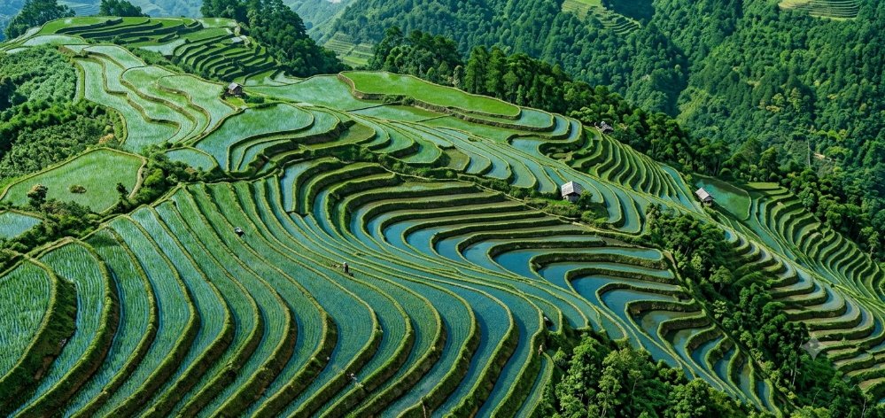 Một ruộng bậc thang có thửa thấp nhất (bậc thứ nhất) nằm ở độ cao 950 m so với mực nước biển, độ chênh lệch giữa thửa trên và thửa dưới trung bình là 1,5 m.
 (ảnh 1)