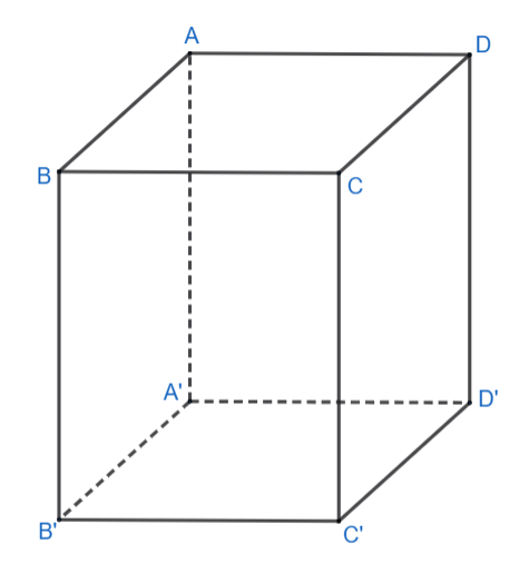 Cho hình hộp ABCD.A'B'C'D'. Xét phép chiếu song song lên mặt phẳng (CDD'C') theo phương chiếu AD. Xét tính đúng/sai của các mệnh đề sau: (ảnh 1)