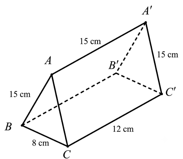 Cho hình lăng trụ đứng ABC.A'B'C' có kích thước như hình vẽ dưới đây. (ảnh 1)