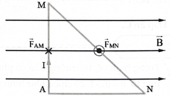 Một đoạn dây được uốn gập thành khung dây có dạng tam giác AMN vuông góc tại A. Đặt khung dây vào một từ trường đều có các vectơ cảm ứng từ nằm trong mặt phẳng ngang, có chiều từ trái qua phả (ảnh 1)