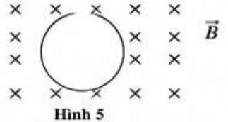Hình 5 mô tả một vòng dây đặt trong từ trường đều có vecto cảm ứng từ \(\vec B\) hướng vào trong mặt phẳng hình vẽ (ký hiệu x). Từ thông qua vòng dây đang tăng.
 (ảnh 1)