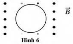 Hình 6 mô tả một vòng dây đặt trong từ trường đều có vecto cảm ứng từ B hướng ra khỏi mặt phẳng hình vẽ (ký hiệu \( \bullet \)). Từ thông qua vòng dây đang giảm. (ảnh 1)