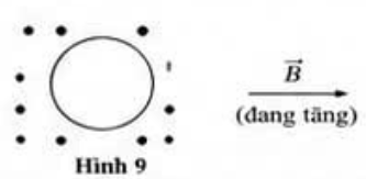 Hình 9 mô tả một vòng dây kín đặt trong từ trường đều. Ban đầu vecto cảm ứng từ B hướng ra khỏi mặt phẳng hình vẽ (\( \bullet \)) và đang (ảnh 1)