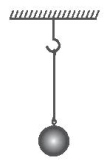 Vật nhỏ khối lượng m = 0,2 kg được treo vào một sợi dây nhẹ, không dãn. Lấy g = 9,8 m/s^2 (ảnh 1)