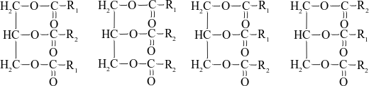 oleObject4.bin