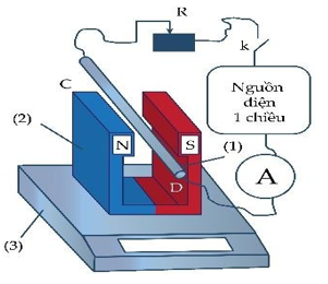 Một nhóm học sinh thực hiện thí nghiệm xác định độ lớn cảm ứng từ. Bộ dụng cụ bao gồm: dây dẫn CD mang dòng điện không đổi (1), nam châm hình chữ U tạo từ trường đều (2), cân điện tử (3). Nhó (ảnh 1)