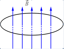 Một vòng dây dẫn phẳng có diện tích S = 160 cm^2 được đặt vuông góc với cảm ứng từ trong một từ trường đồng nhất nhưng có độ lớn tăng đều với tốc độ \[0,020{\rm{ }}T/s\]. (ảnh 1)