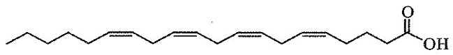 Linoleic acid là acid béo thiết yếu cần thiết nhất trong cơ thể người do có thể bị chuyển hoá tạo ra nhiều acid béo omega-6 khác như arachidonic acid, docosatetraenoic acid. Arachidonic acid  (ảnh 1)