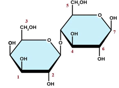  Cho dãy chất gồm: phenyl acetate, tripanmitin, ethyl acrylate, fructose, saccharose, maltose, diethyl ketone. Có bao nhiêu chất trong dãy tác dụng được với dung dịch AgNO3 trong ammonia,  (ảnh 1)