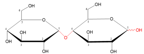 Maltose có công thức phân tử C12H22O11, cấu tạo từ hai đơn vị glucose qua liên kết α-1,4-glycoside. Ở dạng mạch vòng, tổng số nhóm –OH hemiacetal trong phân tử maltose là bao nhiêu?
 (ảnh 1)