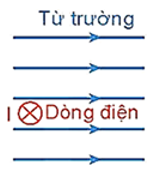 Một dây dẫn thẳng dài 50 cm mang dòng điện có cường độ 0,8 A chạy qua, được đặt vuông góc với từ trường có độ lớn cảm ứng từ là 5 mT như hình bên.
Nhận định sau là sai hay đúng trong các câu (ảnh 1)