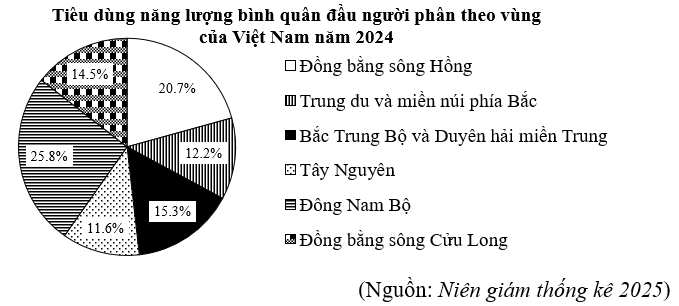 Cho biểu đồ hình quạt tròn biểu diễn cơ cấu tiêu dùng năng lượng bình quân đầu người phân theo vùng của Việt Nam năm 2024:

Xét tính đúng/sai của các khẳng định sau: (ảnh 1)