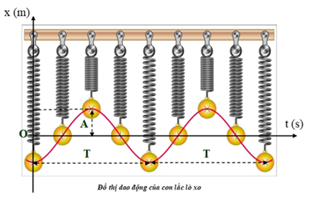 Dựa vào đồ thị dao động của con lắc lò xo như hình , hãy xác định đúng/sai cho các phát biểu sau:
 (ảnh 1)