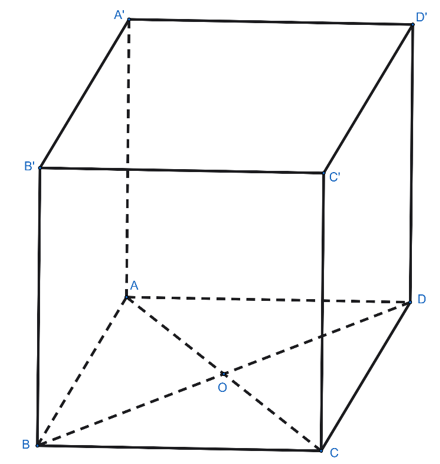 Cho hình lập phương ABCD.A'B'C'D'. Xét các góc nhị diện tạo bởi các mặt của hình lập phương. Xét tính đúng hay sai của các khẳng định sau: (ảnh 1)