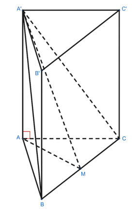 Cho hình lăng trụ đứng ABC.A'B'C' có đáy ABC là tam giác vuông cân tại A, cạnh AB = a. Biết góc giữa hai mặt phẳng (A'BC) và (ABC) bằng 60°. Xét tính đúng hay sai của các phát biểu sau: (ảnh 1)