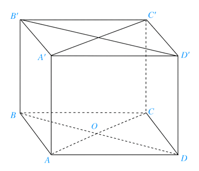 Cho hình hộp đứng ABCD.A′B′C′D′ có đáy là các hình thoi có cạnh bằng a, góc BAD = 120 độ, AA′ = h.Xét tính đúng sai của các khẳng định sau: (ảnh 1)