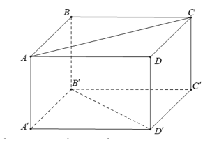 Hình hộp chữ nhật ABCD.A′B′C′D′ có AB = 3, AD = 4, A′A = 5.

Xét tính đúng sai của các mệnh đề sau: (ảnh 1)