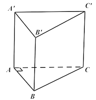 Cho khối lăng trụ đứng ABC. A′B′C′ có đáy ABC là tam giác vuông tại A,
AB = a, AC = \(a\sqrt 3 \) và cạnh bên AA′ = 2a. Xét tính đúng sai của các khẳng định sau: (ảnh 1)