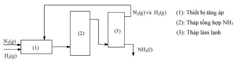 Cho sơ đồ phản ứng tổng hợp NH3 như sau:

Biết rằng tỉ lệ khí H2 và N2 ban đầu là 3 : 1. Trong tháp tổng hợp NH3 xảy ra phản ứng:
N2(g) + 3H2(g) ⇌ 2NH3(g)
Lưu lượng khí (mol/s) đi ra bằng 0,9 (ảnh 1)