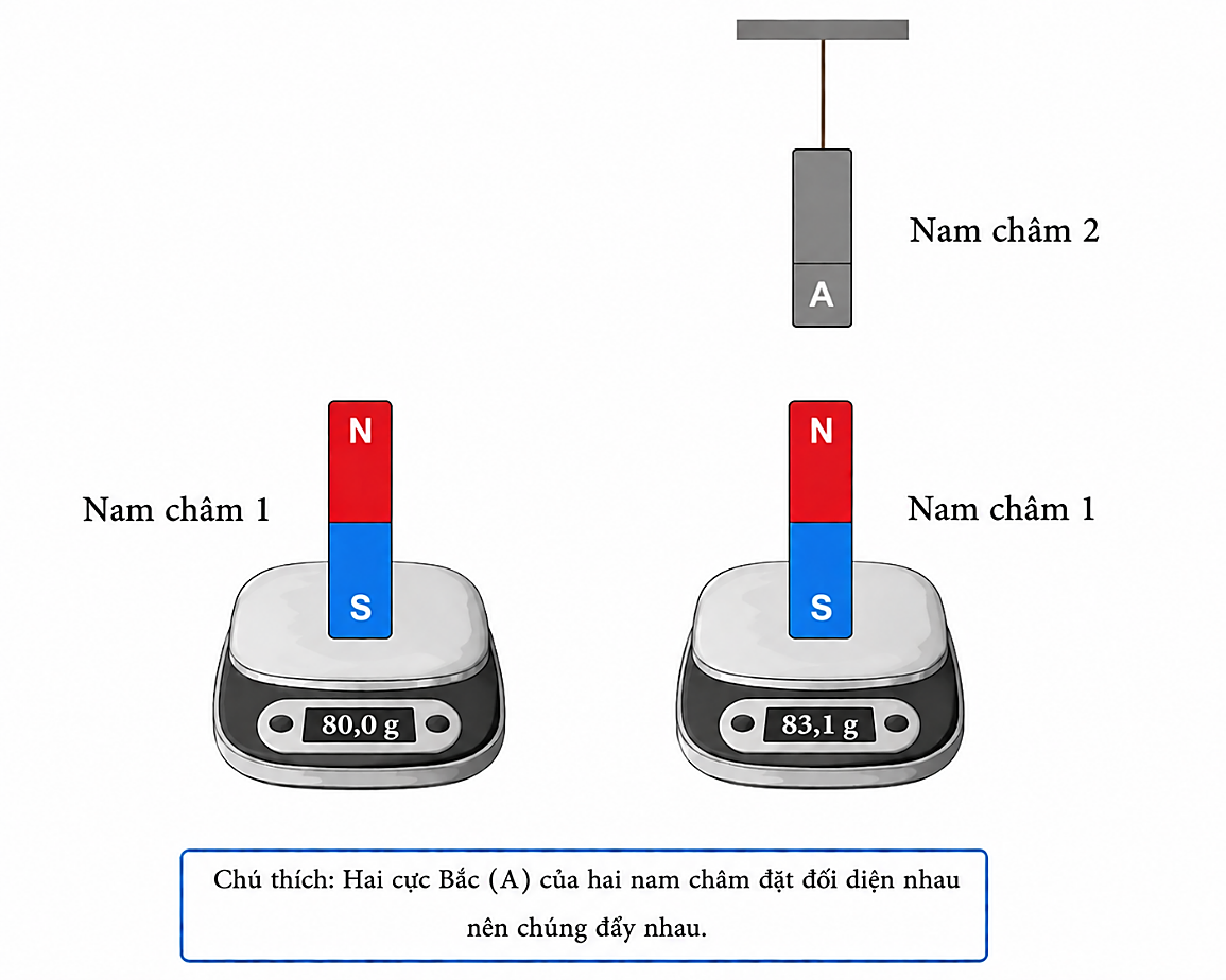 Một học sinh thực hiện thí nghiệm để xác định độ lớn lực từ giữa hai nam châm như hình vẽ. Ban đầu, đặt nam châm 1 trên cân điện tử thì số chỉ của cân là 80,0 g. Sau đó, treo nam châm 2 phía  (ảnh 1)