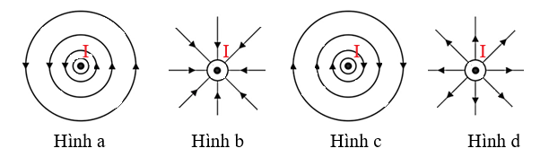 Giả sử có một dây dẫn thẳng dài vô hạn có dòng điện chạy qua theo phương vuông góc với mặt phẳng giấy và có chiều từ trong hướng ra ngoài như hình vẽ. Hình nào dưới đây mô tả đúng đường sức t (ảnh 1)