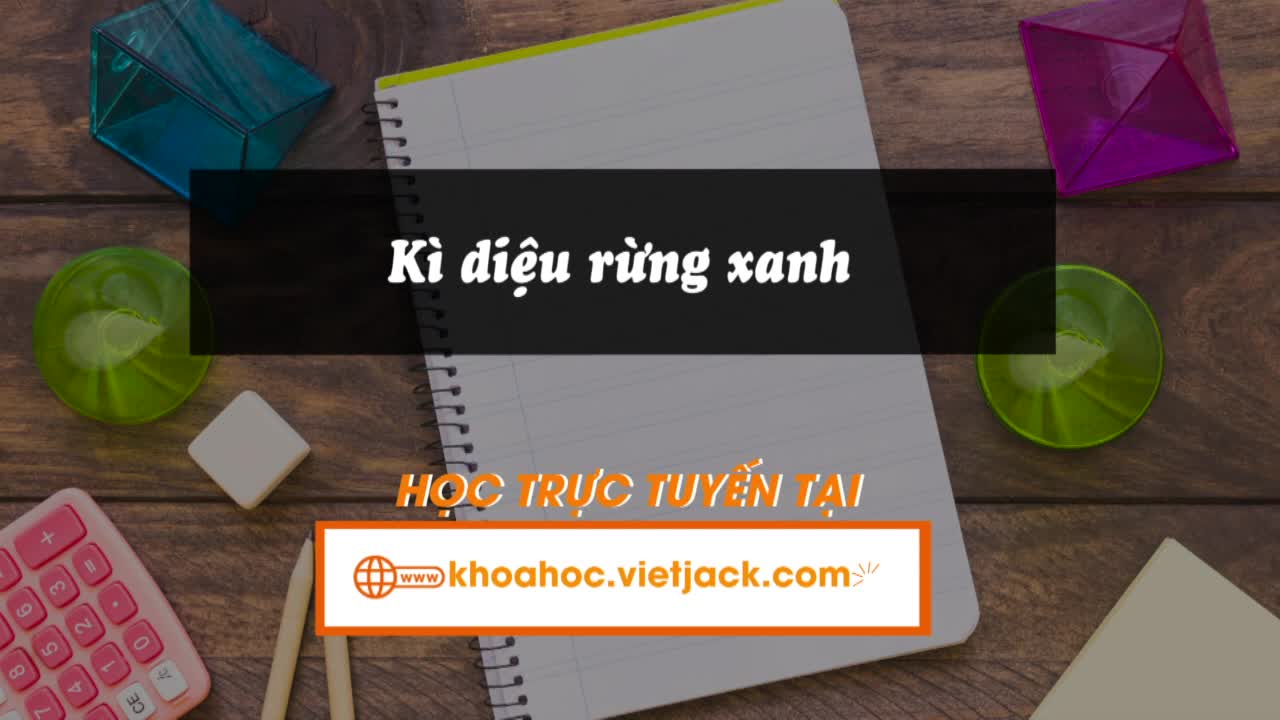 Bài 10: Đọc: Kì diệu rừng xanh