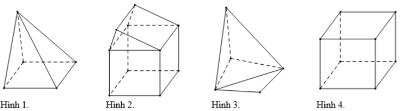 Hình Nào Không Phải Là Hình Đa Diện? Khám Phá Những Hình Học Đặc Biệt