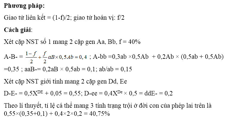 Thực hiện phép lai P Ab/ab X^De (ảnh 1)