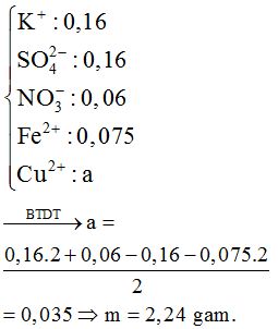 Cho hỗn hợp X gồm Fe, Fe3O4 và Fe(NO3)2 tan hết trong 0,16 mol KHSO4 (ảnh 2)