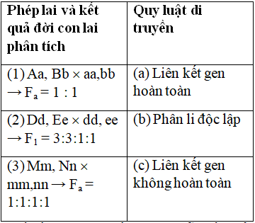 Thể Dị Hợp - Khái Niệm, Tầm Quan Trọng Và Ứng Dụng