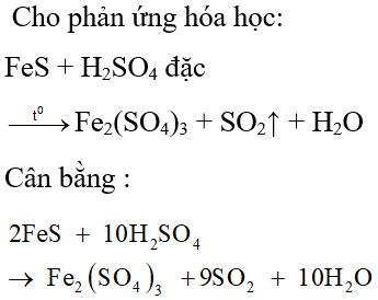 Cho phản ứng hóa học: FeS + H2SO4 đặc Fe2(SO4)3 + SO2↑ + H2O Sau