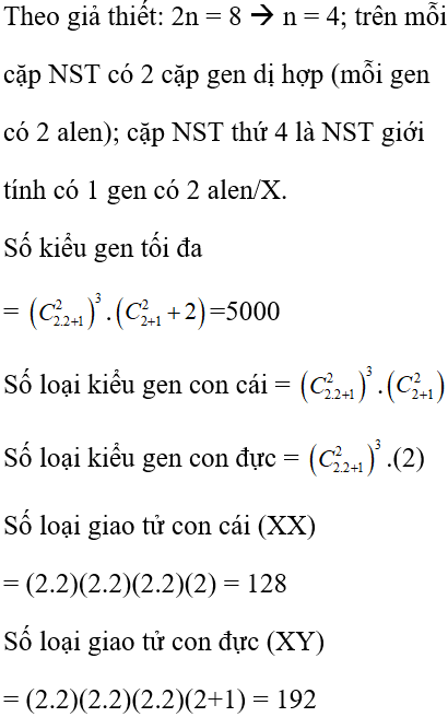 Ruồi Giấm Có Bộ NST 2n = 8: Khám Phá Bí Mật Di Truyền Của Sinh Vật Nhỏ Bé