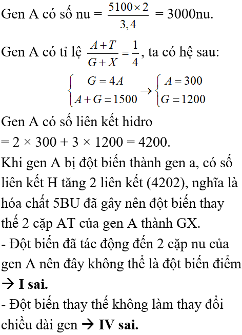 Một gen có chiều dài 510 nm: Khám phá bí mật của cấu trúc di truyền