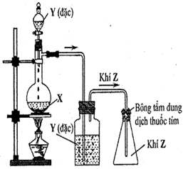 Các Chất Làm Mất Màu Thuốc Tím: Hiểu Biết và Ứng Dụng