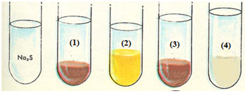 Na2S, Dung dịch, Ống nhiệm: Khám phá dung dịch Na2S và ống nhiệm đầy màu sắc liên quan đến Hóa học. Thử tưởng tượng những ứng dụng có thể của chúng trong việc nghiên cứu khoa học. Đón xem hình ảnh để hiểu rõ hơn về tính chất và sử dụng của chúng.