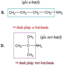 Cho amin có cấu tạo CH3 ch2