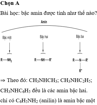 Anilin là amin bậc mấy? Tìm hiểu chi tiết và ứng dụng thực tế