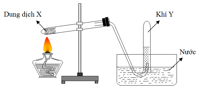 Cho hình vẽ mô tả thí nghiệm điều chế khí Y từ dung dịch X