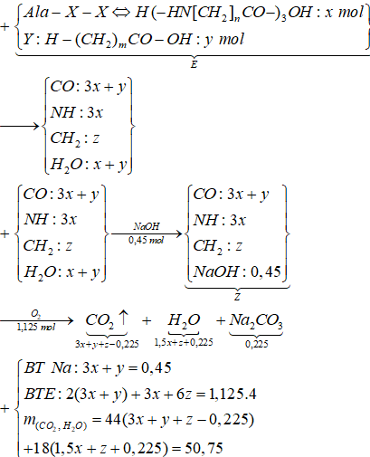 X là amino axit có công thức , Y là axit cacboxylic no (ảnh 1)