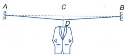 Một chiếc mắc áo treo vào điểm chính giữa của dây thép AB. Khối lượng (ảnh 1)