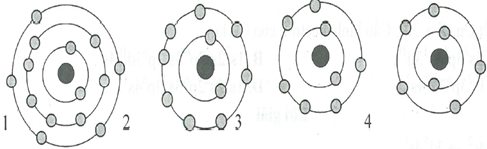 Nguyên tử nào trong hình vẽ dưới đây có số e lớp ngoài cùng