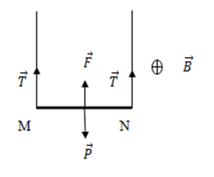 Một dây dẫn thẳng MN có chiều dài l, khối lượng của một đơn vị chiều dài của dây (ảnh 2)
