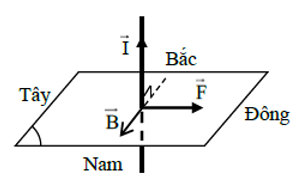 Một dây dẫn mang dòng điện được bố trí theo phương thẳng đứng, có chiều (ảnh 1)