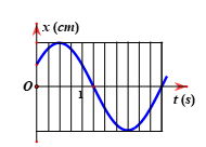Hình vẽ bên là đồ thị phụ thuộc thời gian của li độ dao động điều hòa (ảnh 1)
