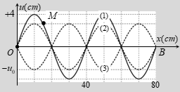 Sóng dừng trên một sợi dây đàn hồi OB mô tả như hình dưới. Điểm O trùng với gốc tọa độ trục tung. Lúc (ảnh 1)