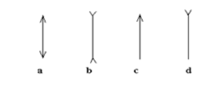 Kí hiệu thấu kính phân kì được vẽ như sau A. hình a  B. hình b  C. hình c D. hình d (ảnh 1)