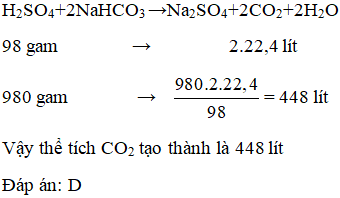 Tính thể tích khí CO2 (đktc) tạo thành để dập tắt đám cháy nếu trong bình chữa cháy có dung dịch chứa 980 gam  H2SO4 (ảnh 1)